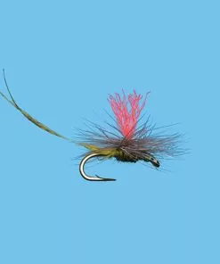 Flies Solitude Hatch Matcher Bwo (D1838ol) 6-Pack