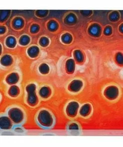 Deyoung Iphone 4/4s Case - Vibe Accessories 22 Deyoung Iphone 4/4s Case - Vibe Accessories