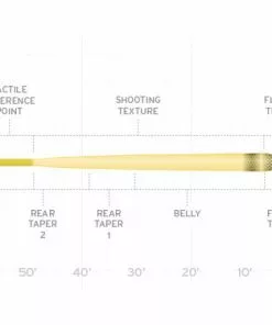 Scientific Anglers Amplitude Infinity Fly Line