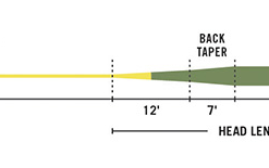 Rio Gold Fly Line - Closeout