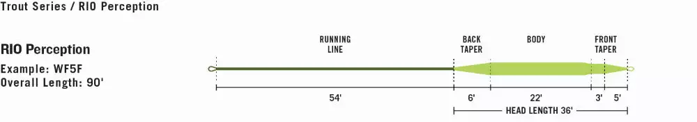 Lines Rio Perception Fly Line With Slickcast 5 Lines Rio Perception Fly Line With Slickcast