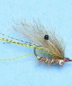 Enrico Puglisi Ghost Shrimp (3-Pack)