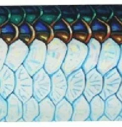 Deyoung Iphone 5/5s Case - Vibe Accessories 27 Deyoung Iphone 5/5s Case - Vibe Accessories