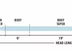 Lines Rio Intouch Short Head Spey