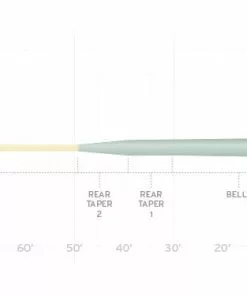 Scientific Anglers Amplitude Smooth Infinity Salt Fly Line Lines