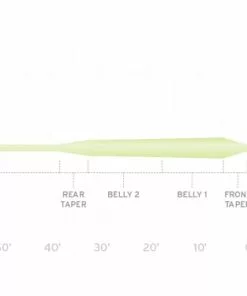 Scientific Anglers Frequency Magnum Fly Line