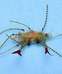 Enrico Puglisi Ep Soft Shell Egg #1 (3-Pack)