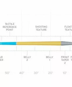 Scientific Anglers Amplitude Anadro Fly Line