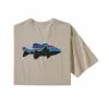 Patagonia Men'S Fitz Roy Smallmouth Organic Tee - Closeout Clothing