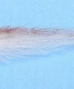 Enrico Puglisi Roosterfish Sardina (3-Pack)