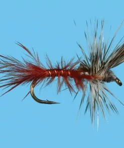 Flies Solitude Callibaetis - Cripple (D115c) 6-Pack