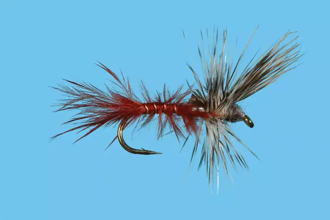 Flies Solitude Callibaetis - Cripple (D115c) 6-Pack 3 Flies Solitude Callibaetis - Cripple (D115c) 6-Pack