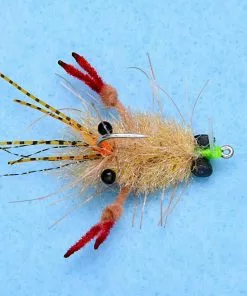 Enrico Puglisi Tarantula Crab Mottled (3-Pack)