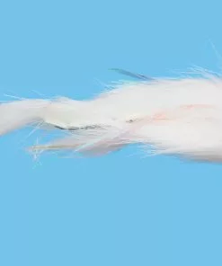 Solitude Dali Lama (St0275) 6-Pack