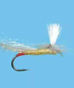 Solitude Parachute Yellow Sallie (Pd540) 6-Pack