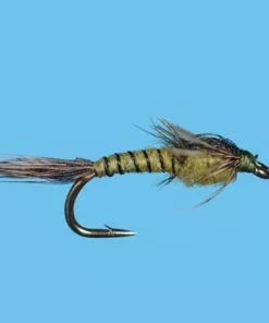 Solitude Pandemic May Bwo Nymph (N097ol) 6-Pack Flies