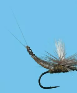 Solitude Parachute Ext Body Bwo (Pd070ex) 6-Pack