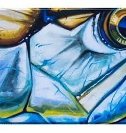 Deyoung Iphone 5/5s Case - Vibe Accessories 26 Deyoung Iphone 5/5s Case - Vibe Accessories