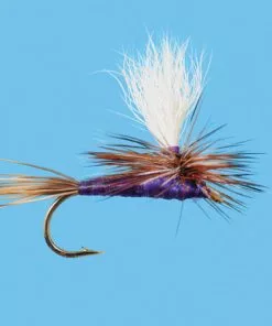 Solitude Parachute Purple Adams (Pd025) 6-Pack