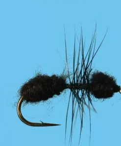 Solitude Ant (T010) 6-Pack