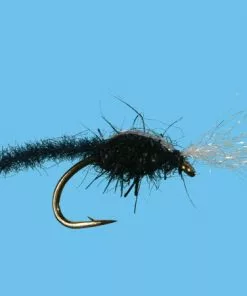 Solitude Palomino Midge (M370) 6-Pack