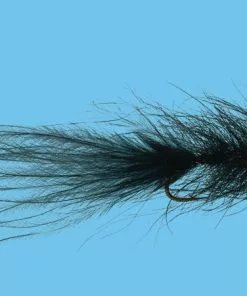 Solitude Hale Bopp Leech (Df200) 6-Pack