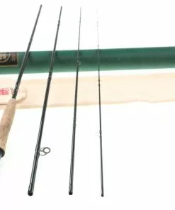 Rods Winston Boron Iix 9'0