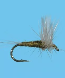 Flies Solitude Blue Wing Olive – Thorax (D070t) 6-Pack