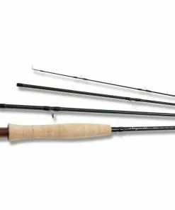 Rods G Loomis Asquith Fly Rod - 5wt 9'0" 4pc (Trade Up)