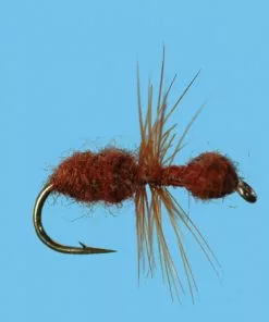 Solitude Ant (T010) 6-Pack