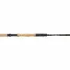 Rods Echo Musky Fly Rod