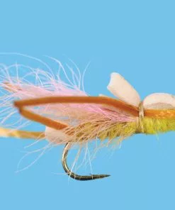 Solitude Yellow Sallie - Larimer'S (D560) 6-Pack