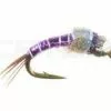 Catch Fly Fishing Catch Tb Rainbow Warrior Purple 6-Pack
