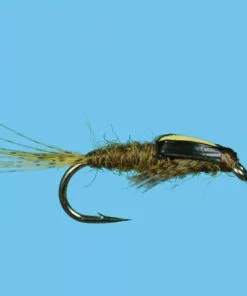 Solitude Split Case Bwo (N280) 6-Pack