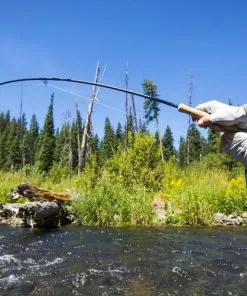 Thomas And Thomas Rods Thomas & Thomas Avantt Fly Rod