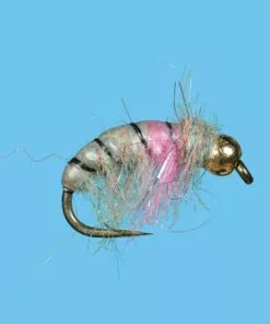 Flies Solitude Czech Nymph (Cz050) 6-Pack