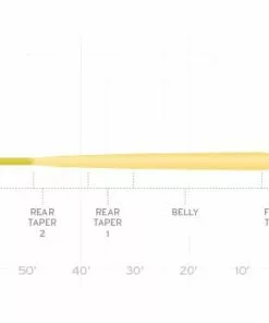 Scientific Anglers Mastery Infinity Fly Line
