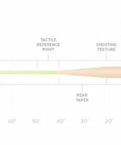 Lines Scientific Anglers Amplitude Grand Slam Fly Line