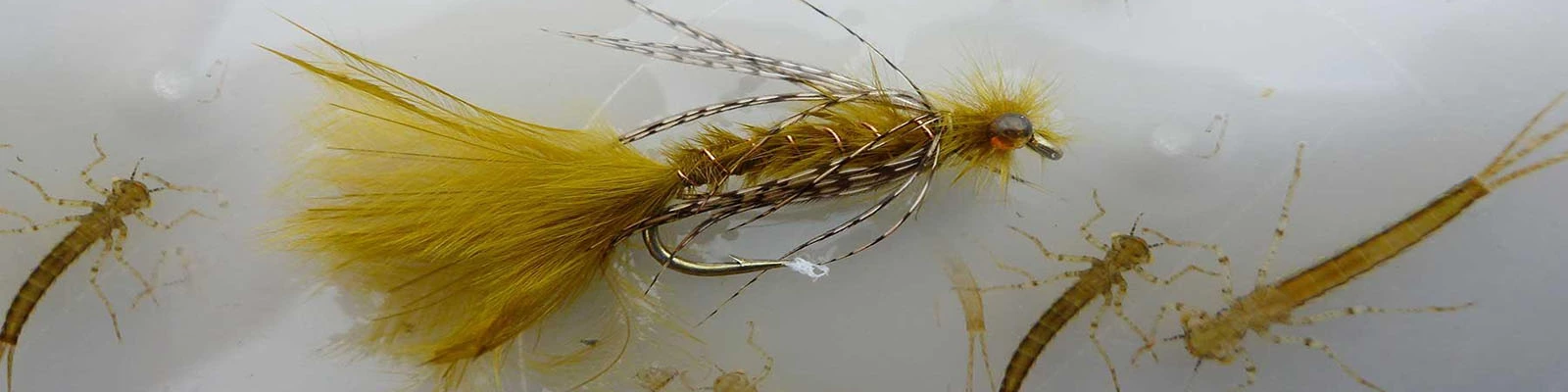 Stillwater Fly Shop Sales -Stillwater Fly Shop Sales banner